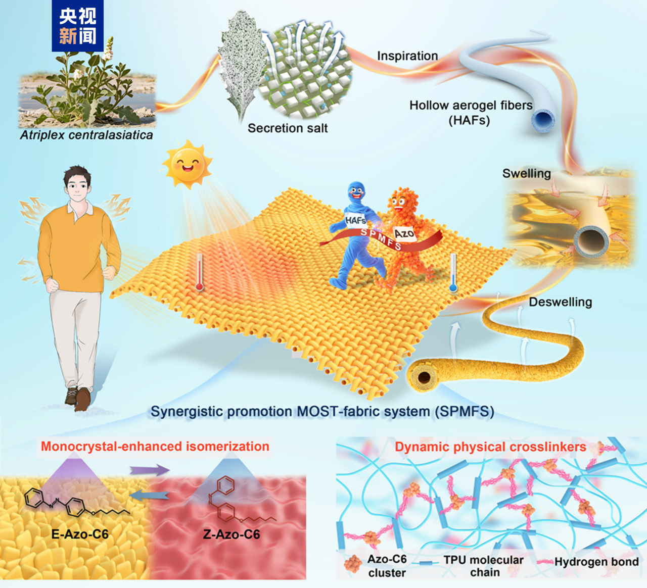 科技前沿 | 中国研发新型仿生光热织物， 光照50秒升温20℃！